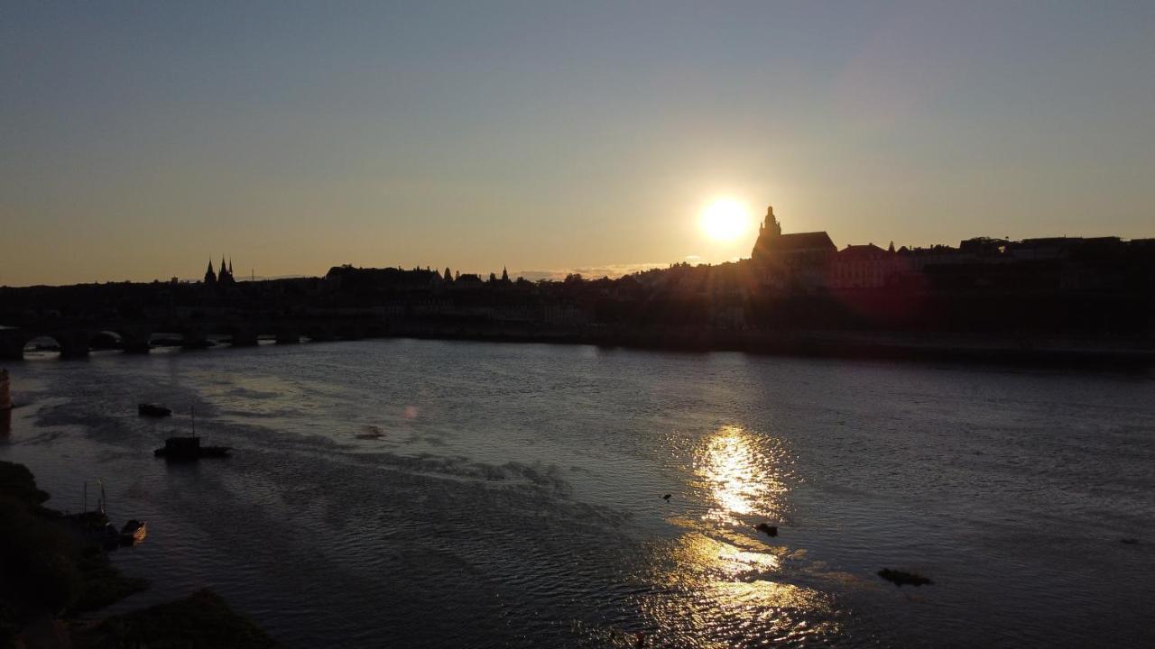 Le Wilson - Vue Imprenable Sur La Loire Et Le Chateau De บลัวส์ ภายนอก รูปภาพ